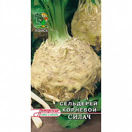 Сельдерей корневой Силач
