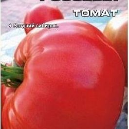 Томат (Помидор) обыкновенный Бугай Розовый