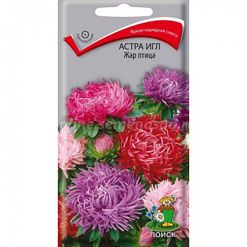 Астра игл Жар-птица
