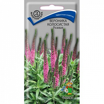 Вероника колосистая Розовая