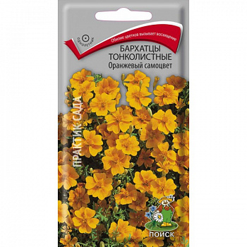 Бархатцы тонколистные Оранжевый самоцвет