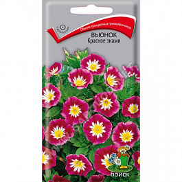 Вьюнок Красное знамя