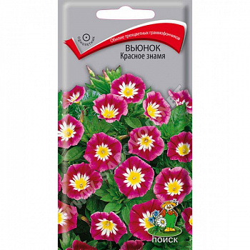 Вьюнок Красное знамя