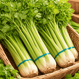 Сельдерей  черешковый Паскаль