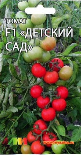 Томат (Помидор) обыкновенный Детский сад F1