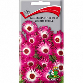 Мезембриантемум	 Джелато розовый