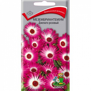 Мезембриантемум	 Джелато розовый