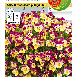 Виола (Фиалка, Анютины глазки) ампельная Cool Wave Strawberry Swirl F1