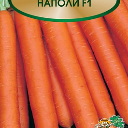 Морковь Наполи F1