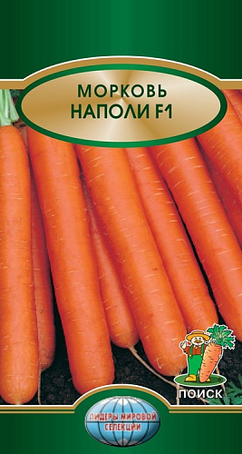 Морковь Наполи F1
