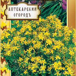 Зверобой Продырявленный