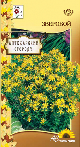 Зверобой Продырявленный