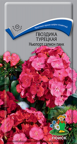 Гвоздика Турецкая Ньюпорт салмон пинк