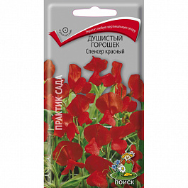 Душистый горошек Спенсер красный
