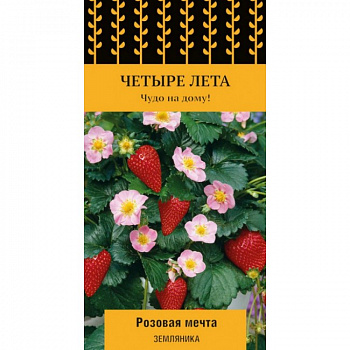 Земляника Розовая мечта Земляника Розовая мечта