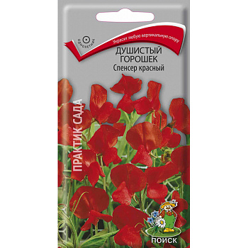 Душистый горошек Спенсер красный