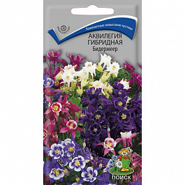 Аквилегия гибридная Бидермеер Аквилегия гибридная Бидермеер