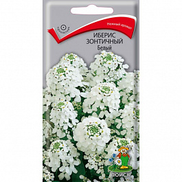 Иберис зонтичный Белый