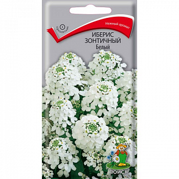 Иберис зонтичный Белый