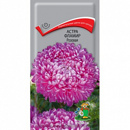 Астра Фламир Розовая