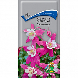 Аквилегия гибридная Розовая звезда