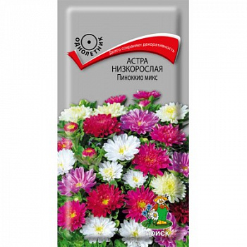 Астра низкорослая Пиноккио микс