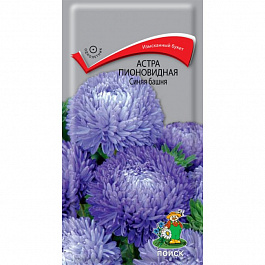 Астра пионовидная Синяя башня
