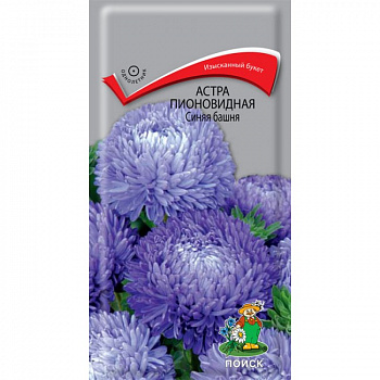 Астра пионовидная Синяя башня