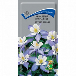 Аквилегия гибридная Голубая звезда