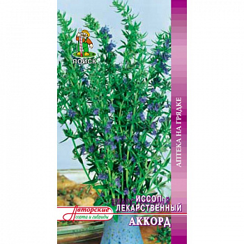 Иссоп лекарственный Аккорд Иссоп лекарственный Аккорд