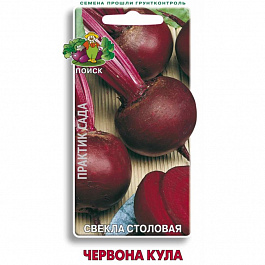 Свёкла столовая Червона Кула
