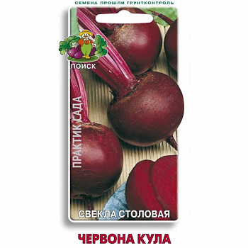 Свёкла столовая Червона Кула