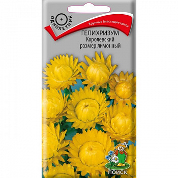 Гелихризум Королевский размер лимонный