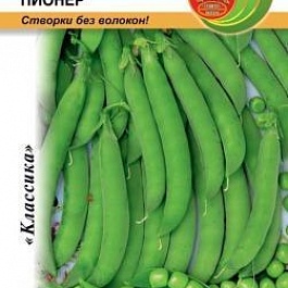 Горох сахарный Пионер