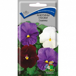 Анютины глазки Славянка