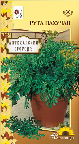 Рута Пахучая