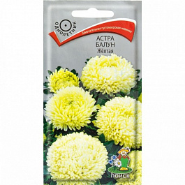 Астра Балун Желтая Астра Балун Желтая