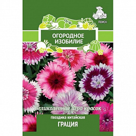 Гвоздика Китайская Грация