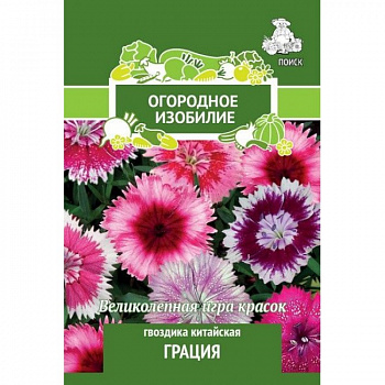 Гвоздика Китайская Грация