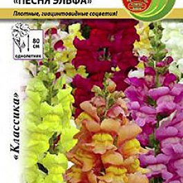 Львиный зев (Антирринум) гибридный Песня Эльфа