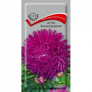 Астра Василиса Прекрасная Астра Василиса Прекрасная