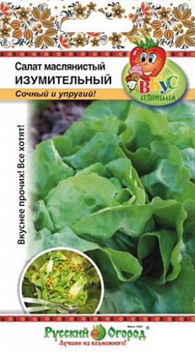 Салат Кочанный Изумительный