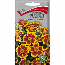 Бархатцы отклоненные немахровые Шаловливая Мариэтта