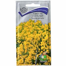 Алиссум скальный Золотая россыпь