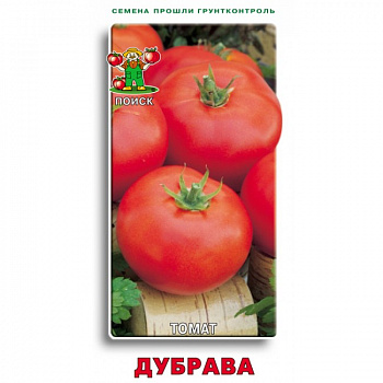 Томат Дубрава