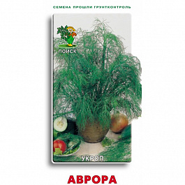 Укроп Аврора