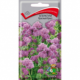 Агератум Красный букет