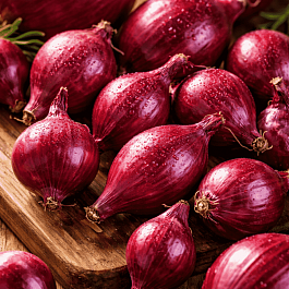 Лук-севок Ред Барон