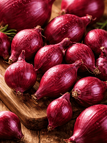 Лук-севок Ред Барон
