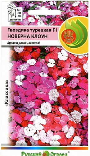 Гвоздика Турецкая F1 Новерна Клоун